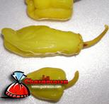 LC125 - Otras yerbas